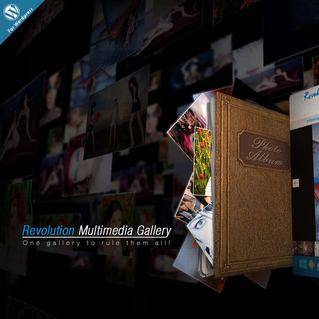 Revolution Multimedia Gallery Wordpress Plugin